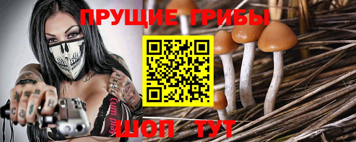 Псилоцибиновые грибы Psilocybe  Псилоцибиновые грибы Magic Shrooms  Воскресенск  Вход с VPN 
